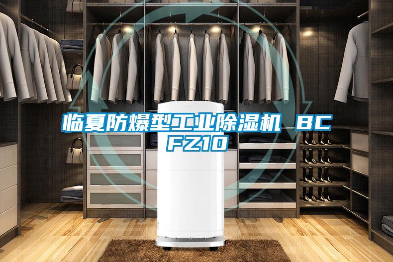 临夏防爆型工业樱桃TV在线观看机 BCFZ10