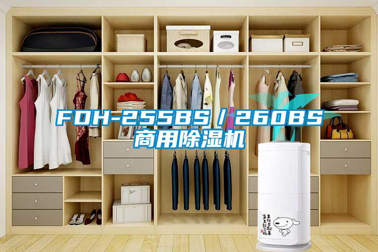 FDH-255BS／260BS商用樱桃TV在线观看机