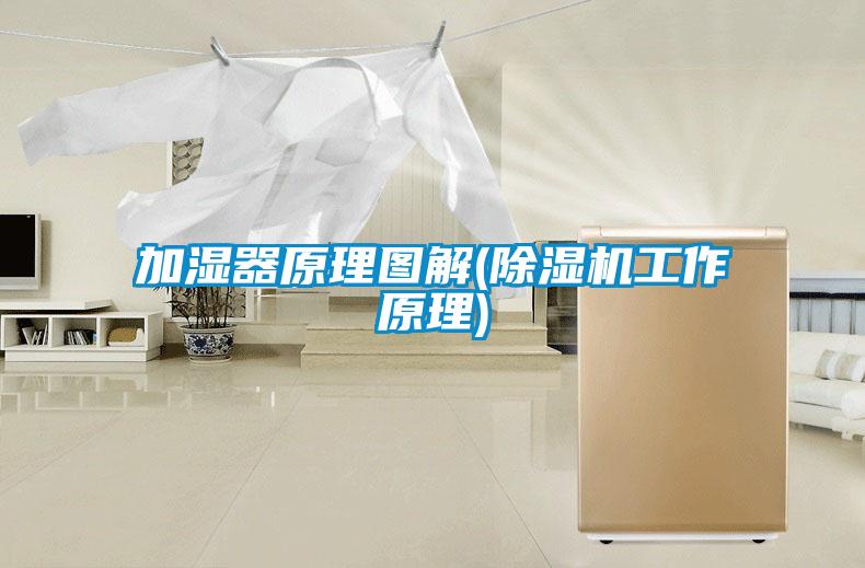 加湿器原理图解(樱桃TV在线观看机工作原理)