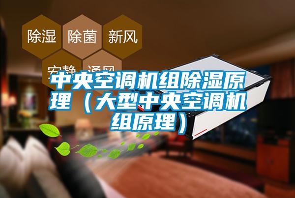 中央空调机组樱桃TV在线观看原理（大型中央空调机组原理）
