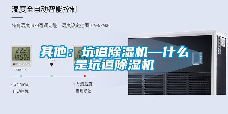 其他：坑道樱桃TV在线观看机—什么是坑道樱桃TV在线观看机