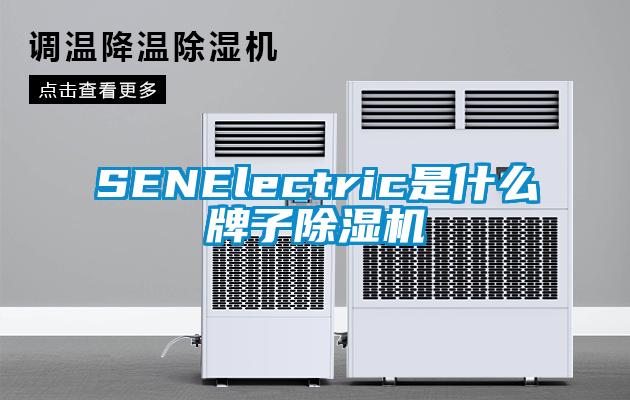 SENElectric是什么牌子樱桃TV在线观看机