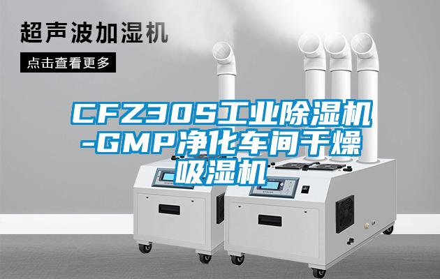 CFZ30S工业樱桃TV在线观看机-GMP净化车间干燥吸湿机
