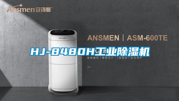HJ-8480H工业樱桃TV在线观看机
