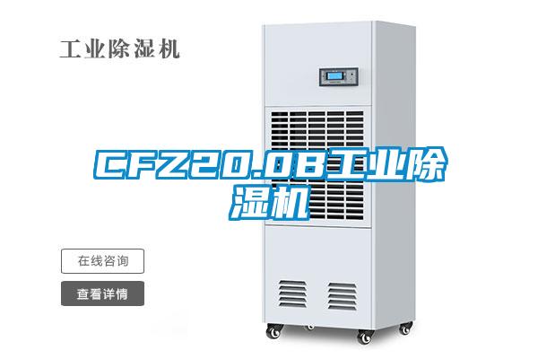 CFZ20.0B工业樱桃TV在线观看机