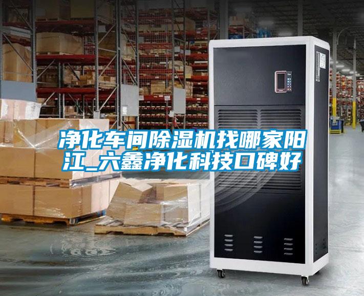 净化车间樱桃TV在线观看机找哪家阳江_六鑫净化科技口碑好