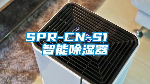 SPR-CN-S1  智能樱桃TV在线观看器