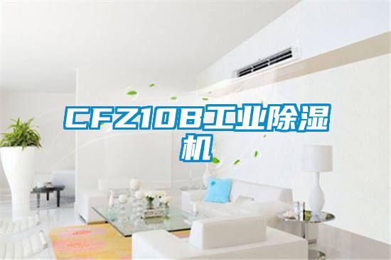 CFZ10B工业樱桃TV在线观看机