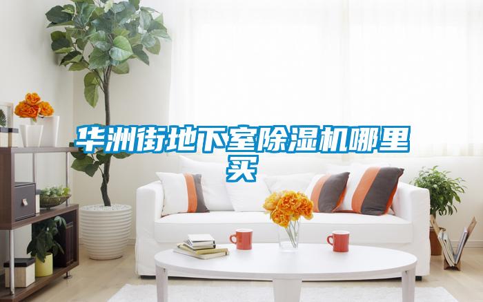 华洲街地下室樱桃TV在线观看机哪里买