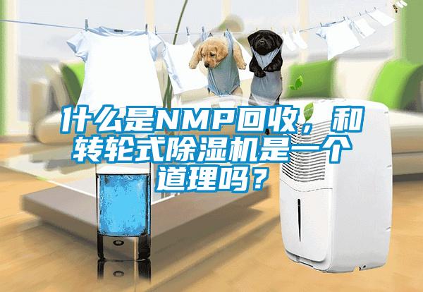 什么是NMP回收，和转轮式樱桃TV在线观看机是一个道理吗？