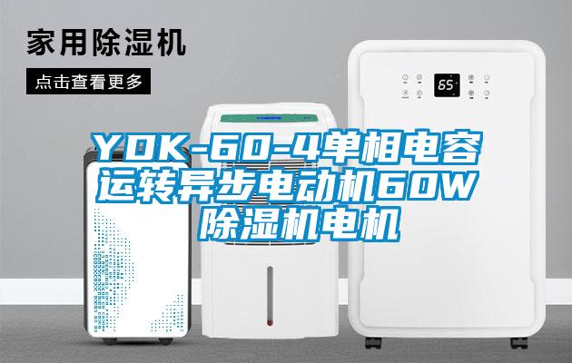 YDK-60-4单相电容运转异步电动机60W 樱桃TV在线观看机电机