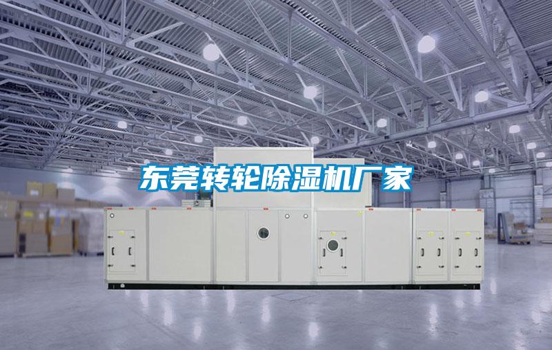 东莞转轮樱桃TV在线观看机厂家