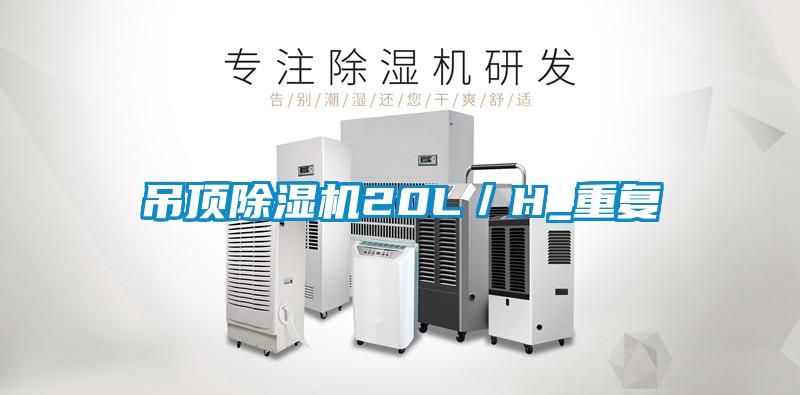 吊顶樱桃TV在线观看机20L／H_重复
