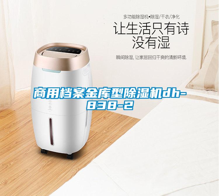 商用档案金库型樱桃TV在线观看机dh-838-2