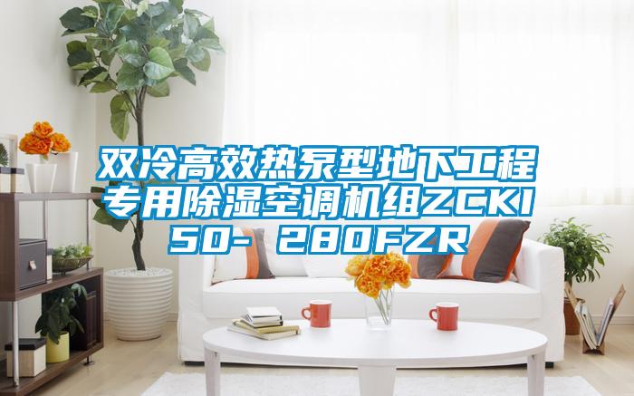 双冷高效热泵型地下工程专用樱桃TV在线观看空调机组ZCKI50- 280FZR