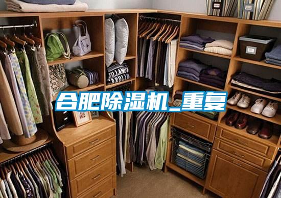 合肥樱桃TV在线观看机_重复