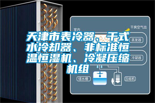 天津市表冷器、干式水冷却器、非标准恒温恒湿机、冷凝压缩机组