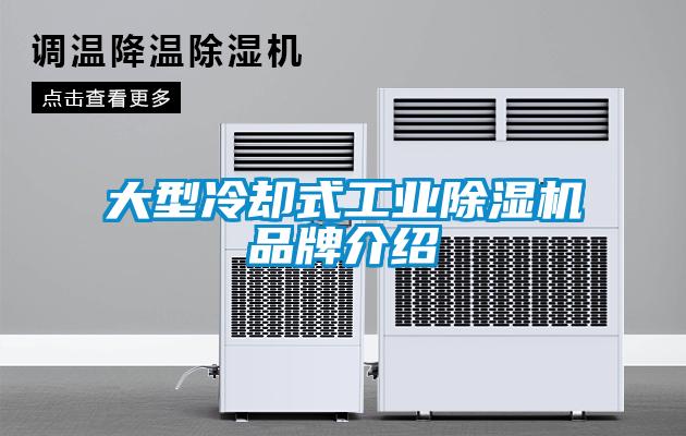 大型冷却式工业樱桃TV在线观看机品牌介绍