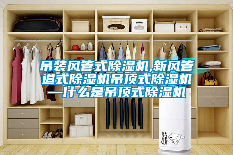 吊装风管式樱桃TV在线观看机,新风管道式樱桃TV在线观看机吊顶式樱桃TV在线观看机—什么是吊顶式樱桃TV在线观看机