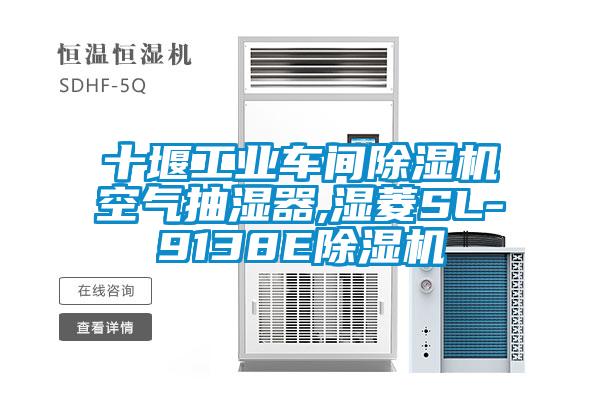 十堰工业车间樱桃TV在线观看机空气抽湿器,湿菱SL-9138E樱桃TV在线观看机