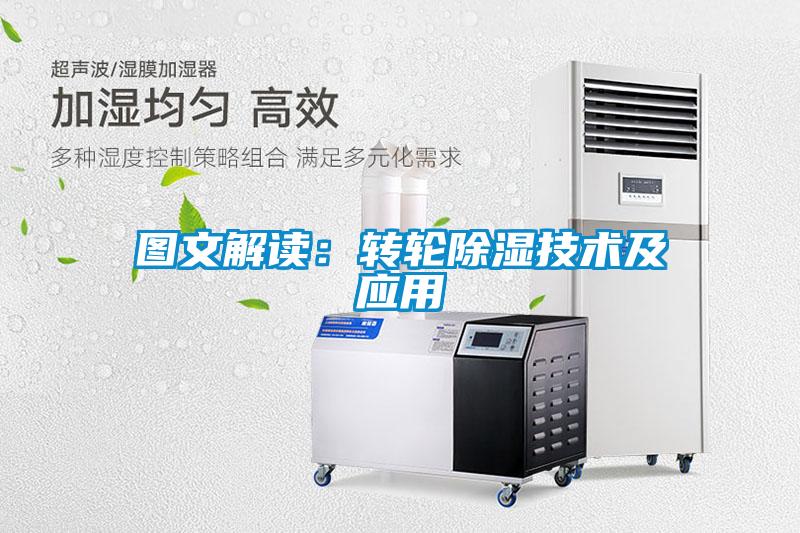 图文解读：转轮樱桃TV在线观看技术及应用