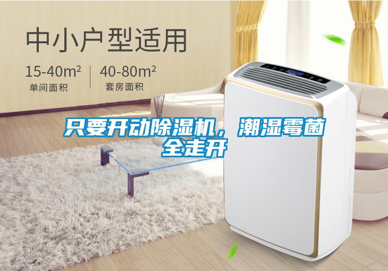只要开动樱桃TV在线观看机，潮湿霉菌全走开