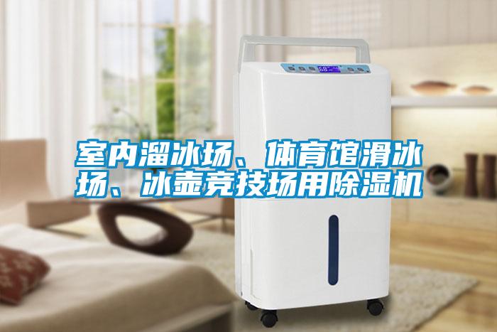 室内溜冰场、体育馆滑冰场、冰壶竞技场用樱桃TV在线观看机