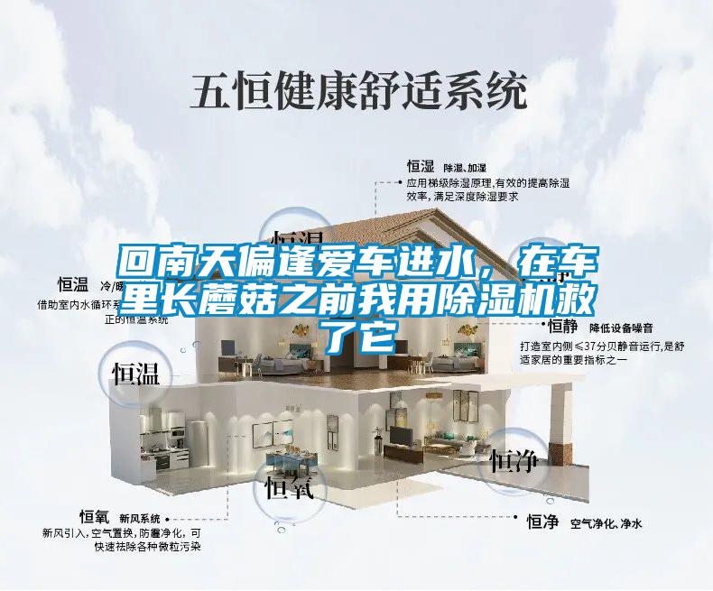 回南天偏逢爱车进水，在车里长蘑菇之前我用樱桃TV在线观看机救了它