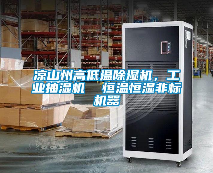 凉山州高低温樱桃TV在线观看机，工业抽湿机  恒温恒湿非标机器