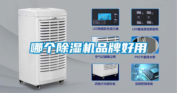 哪个樱桃TV在线观看机品牌好用