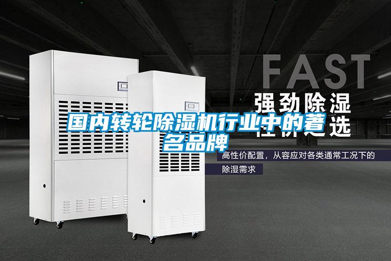 国内转轮樱桃TV在线观看机行业中的著名品牌