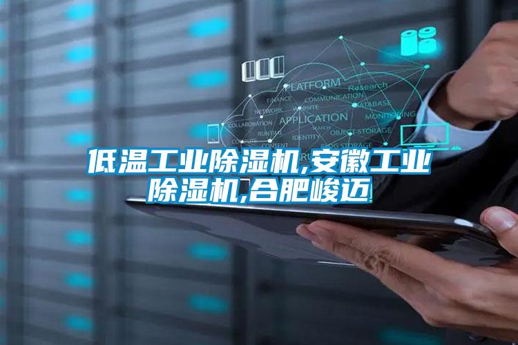 低温工业樱桃TV在线观看机,安徽工业樱桃TV在线观看机,合肥峻迈
