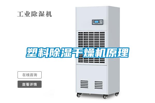 塑料樱桃TV在线观看干燥机原理