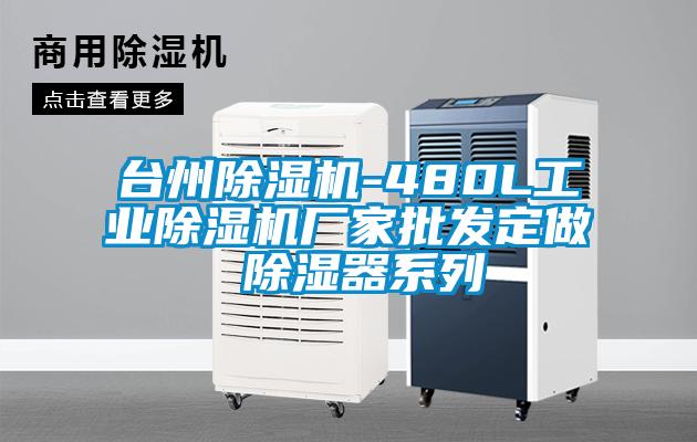 台州樱桃TV在线观看机-480L工业樱桃TV在线观看机厂家批发定做 樱桃TV在线观看器系列