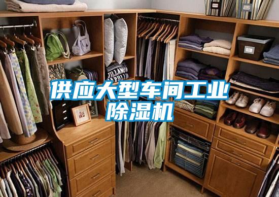 供应大型车间工业樱桃TV在线观看机