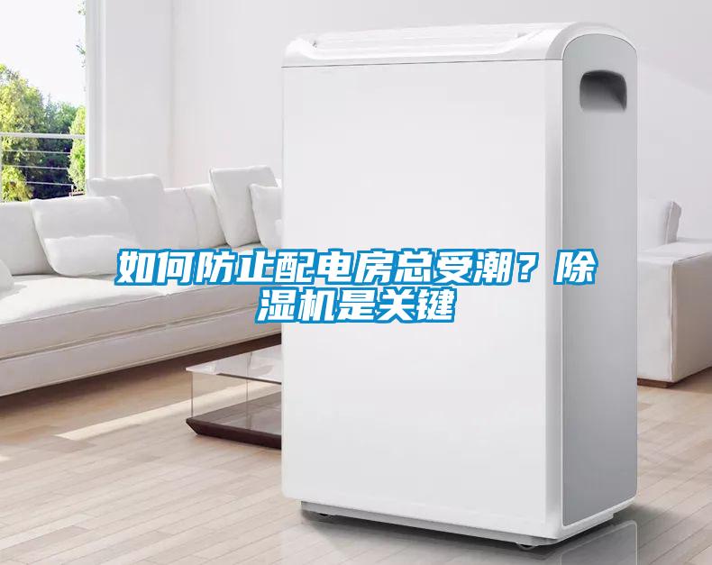 如何防止配电房总受潮？樱桃TV在线观看机是关键