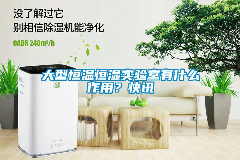 大型恒温恒湿实验室有什么作用？快讯