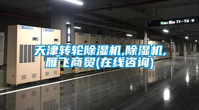 天津转轮樱桃TV在线观看机,樱桃TV在线观看机,雁飞商贸(在线咨询)