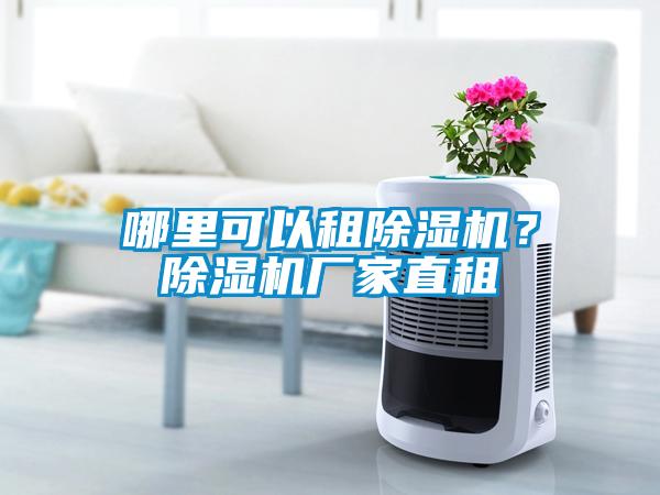 哪里可以租樱桃TV在线观看机？樱桃TV在线观看机厂家直租