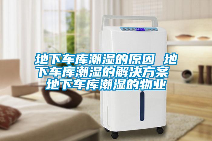 地下车库潮湿的原因 地下车库潮湿的解决樱桃视频成人 地下车库潮湿的物业