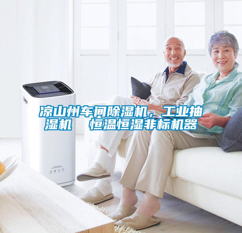 凉山州车间樱桃TV在线观看机，工业抽湿机  恒温恒湿非标机器
