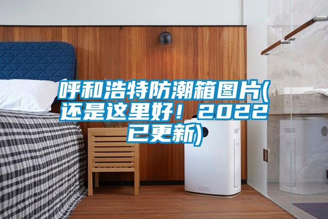 呼和浩特防潮箱图片(还是这里好！2022已更新)