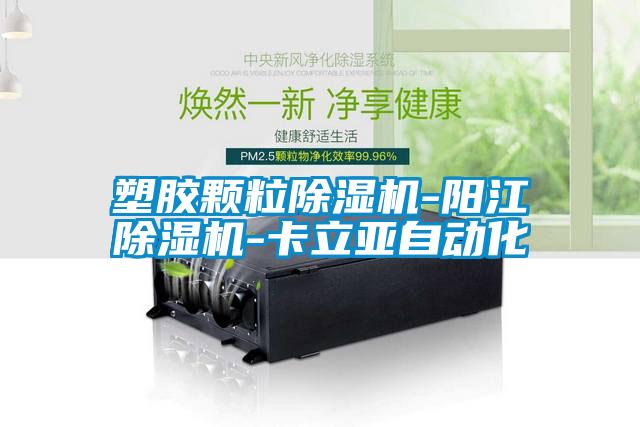 塑胶颗粒樱桃TV在线观看机-阳江樱桃TV在线观看机-卡立亚自动化
