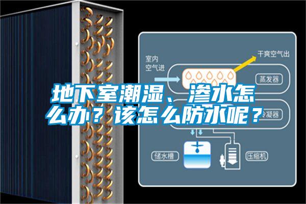 地下室潮湿、渗水怎么办？该怎么防水呢？