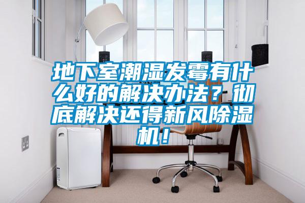 地下室潮湿发霉有什么好的解决办法？彻底解决还得新风樱桃TV在线观看机！