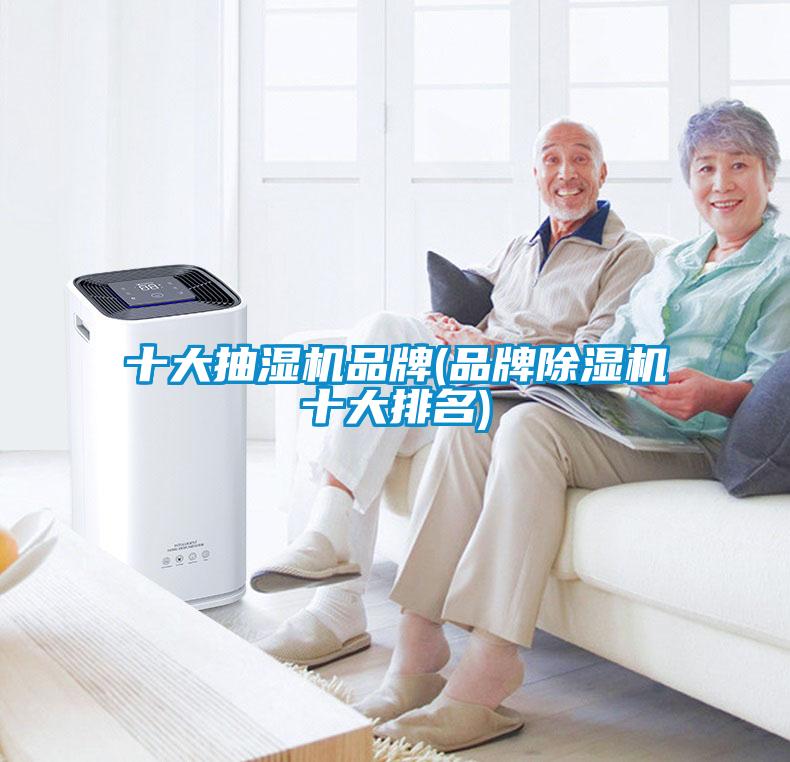 十大抽湿机品牌(品牌樱桃TV在线观看机十大排名)