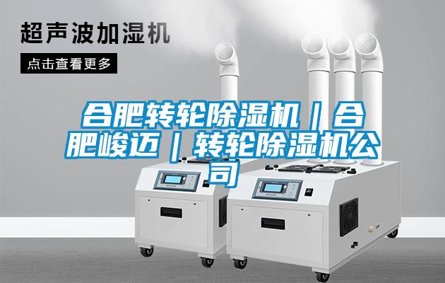 合肥转轮樱桃TV在线观看机｜合肥峻迈｜转轮樱桃TV在线观看机公司