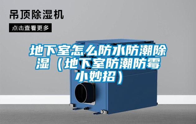 地下室怎么防水防潮樱桃TV在线观看（地下室防潮防霉小妙招）