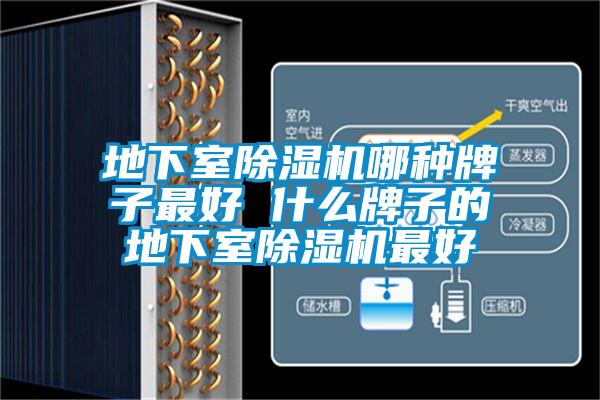 地下室樱桃TV在线观看机哪种牌子最好 什么牌子的地下室樱桃TV在线观看机最好