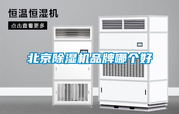 北京樱桃TV在线观看机品牌哪个好